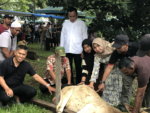 Kepala Dinas Kopdagin Pimpin Rapat Bulan Juni 2025